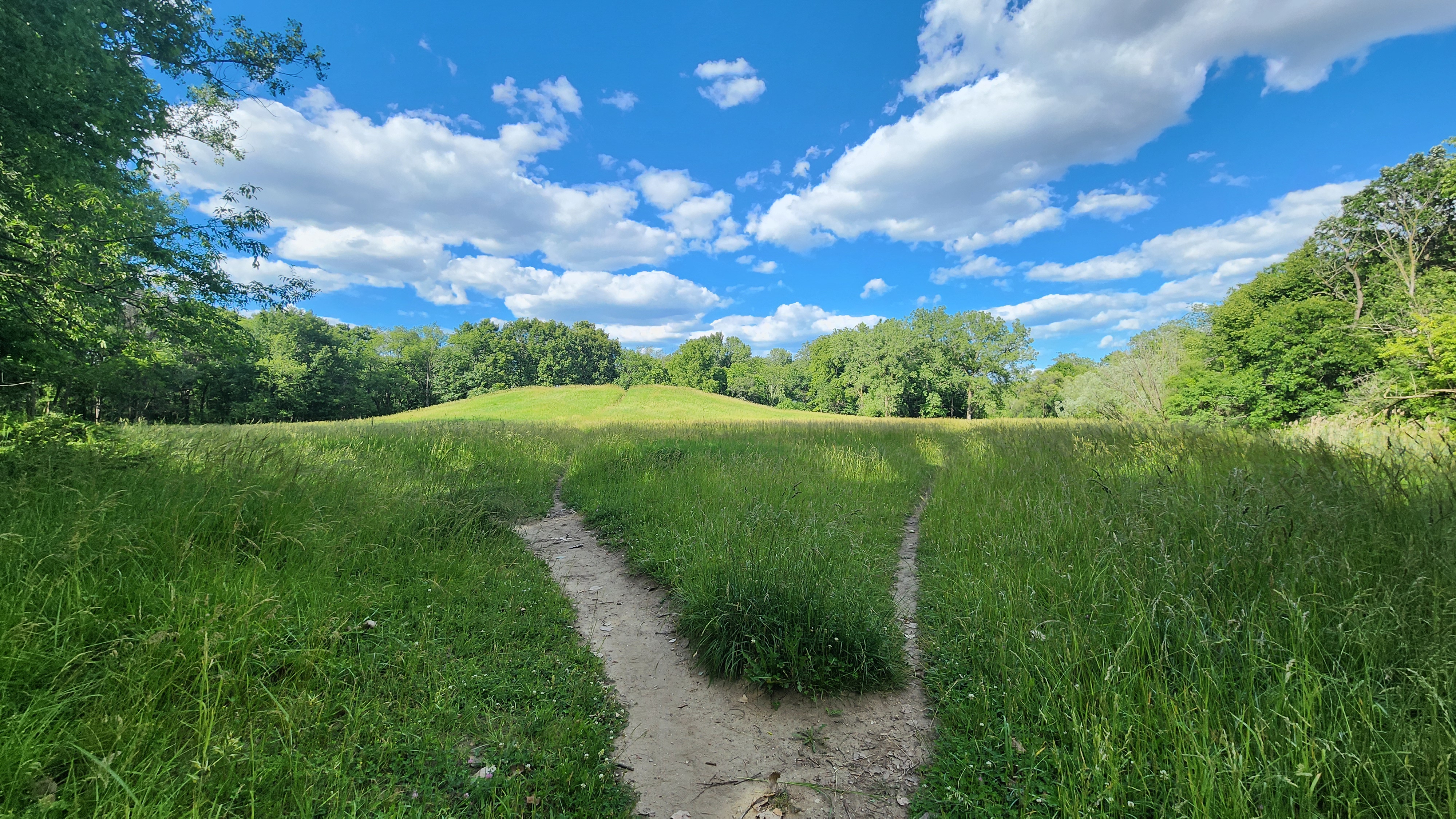 Hidden hill, bet you didn't even know it was there, very sneaky!