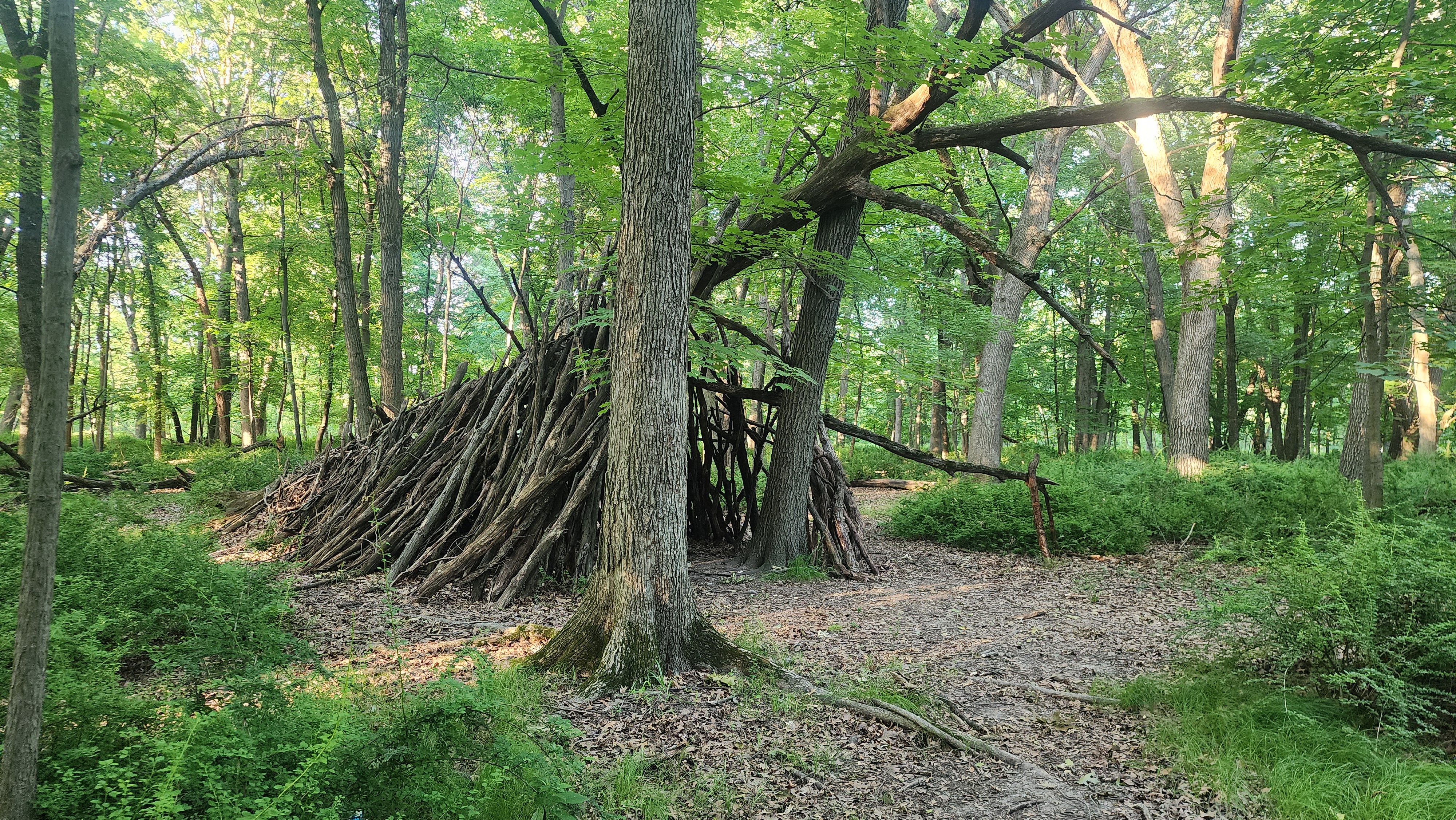 Schiller Woods South - Ad-hoc shelter